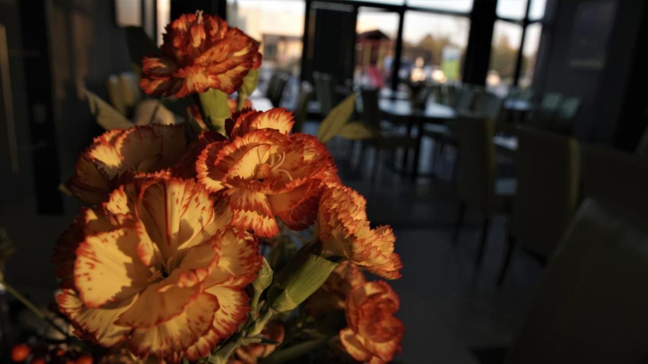 Jordaszka Aparthotel Wodzisław Śląski